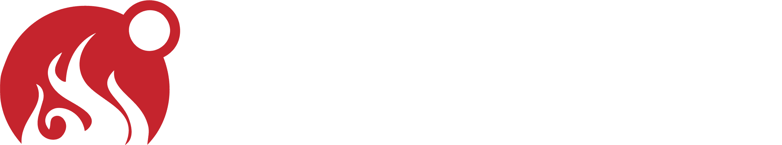MEATER